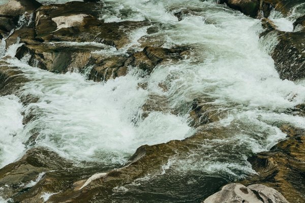 Partir en groupes : les grandes maisons de vacances à privilégier