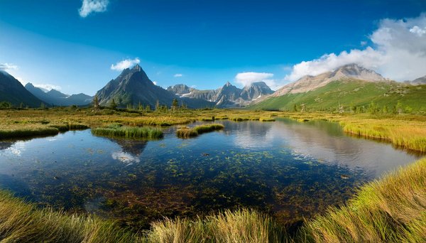 Eco-location dans les villes touristiques : nouveau trend du tourisme vert