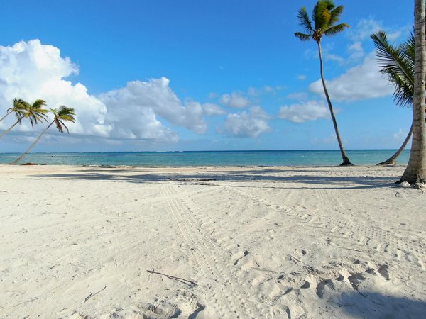 Camping en pleine nature : ressources et accessibilité pour votre soirée